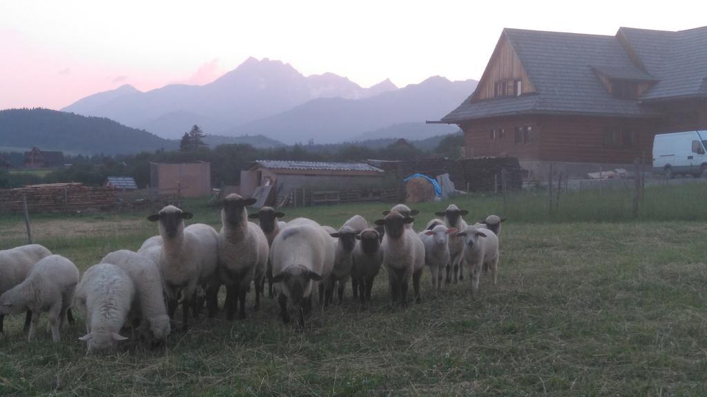 Penzion Pod Magurou Slovenská Ves المظهر الخارجي الصورة